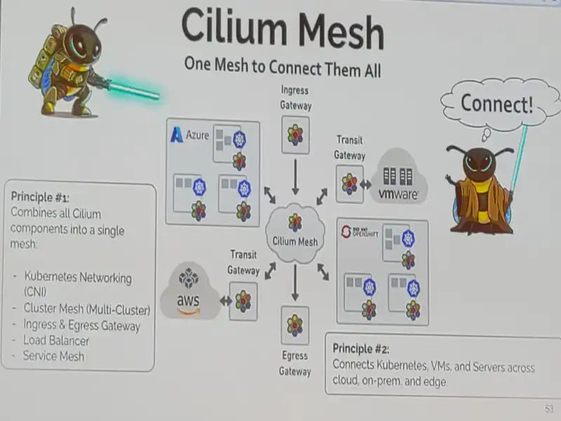 ./ciliummesh.webp
